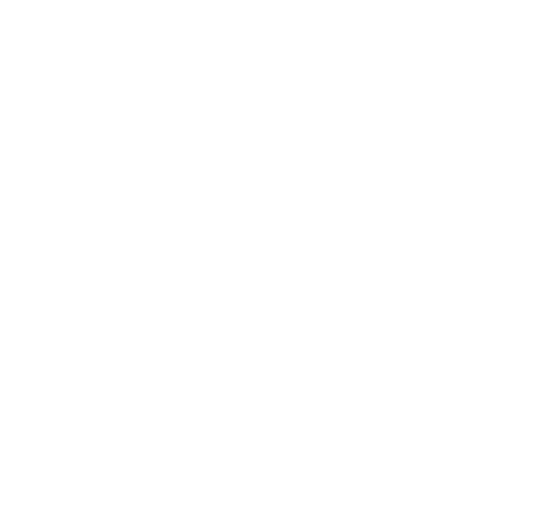 mikel-logo-2